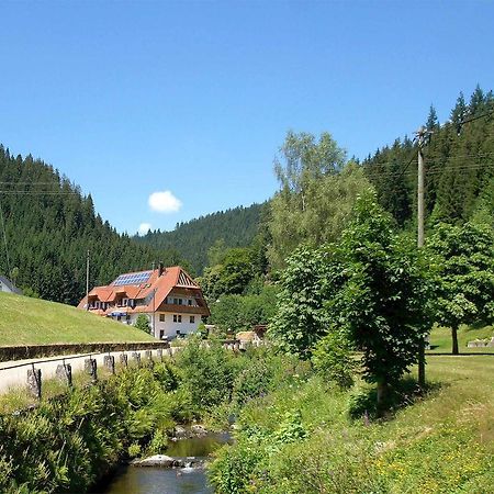 Gastehaus Herrmann Bad Rippoldsau-Schapbach Exterior photo