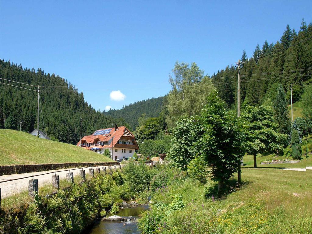 Gastehaus Herrmann Bad Rippoldsau-Schapbach Exterior photo